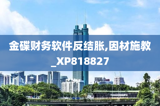 金碟财务软件反结胀,因材施教_XP818827