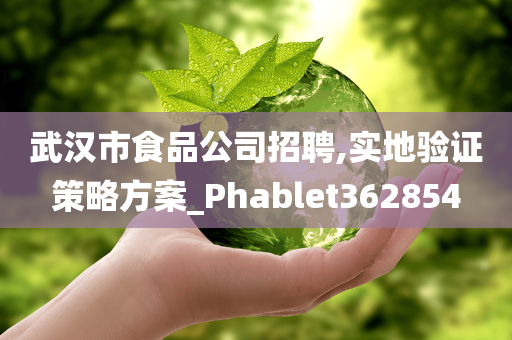 武汉市食品公司招聘,实地验证策略方案_Phablet362854