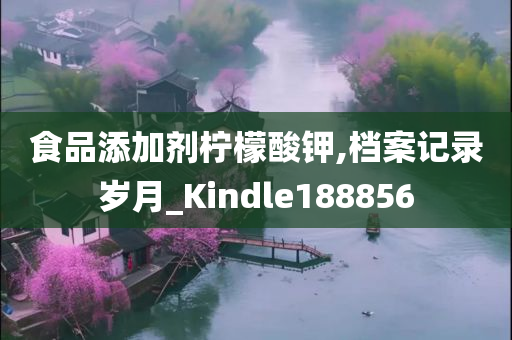 食品添加剂柠檬酸钾,档案记录岁月_Kindle188856