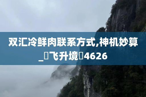 双汇冷鲜肉联系方式,神机妙算_‌飞升境‌4626