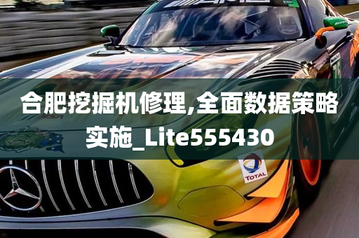 合肥挖掘机修理,全面数据策略实施_Lite555430