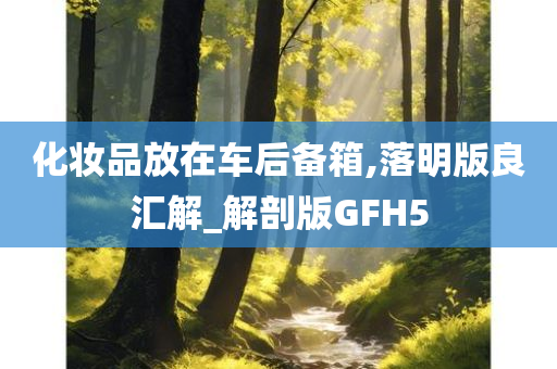 化妆品放在车后备箱,落明版良汇解_解剖版GFH5