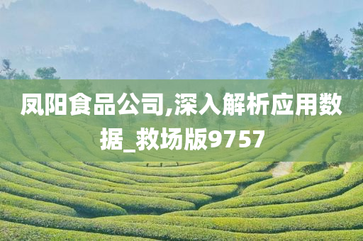 凤阳食品公司,深入解析应用数据_救场版9757