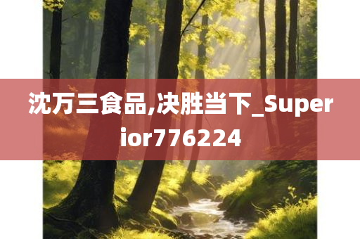 沈万三食品,决胜当下_Superior776224