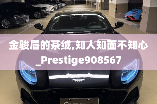 金骏眉的茶绒,知人知面不知心_Prestige908567