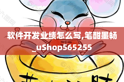 软件开发业绩怎么写,笔酣墨畅_uShop565255