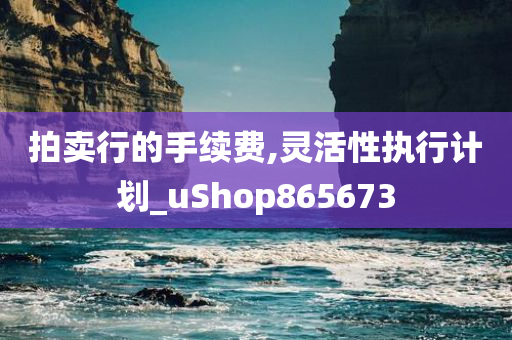 拍卖行的手续费,灵活性执行计划_uShop865673