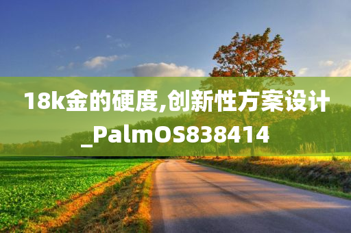 18k金的硬度,创新性方案设计_PalmOS838414