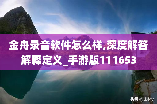 金舟录音软件怎么样,深度解答解释定义_手游版111653