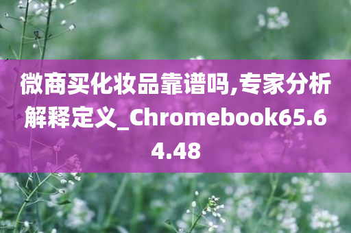 微商买化妆品靠谱吗,专家分析解释定义_Chromebook65.64.48