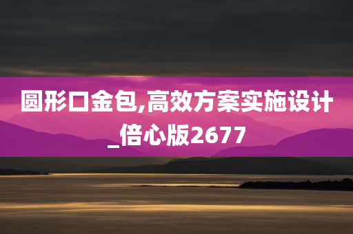 圆形口金包,高效方案实施设计_倍心版2677