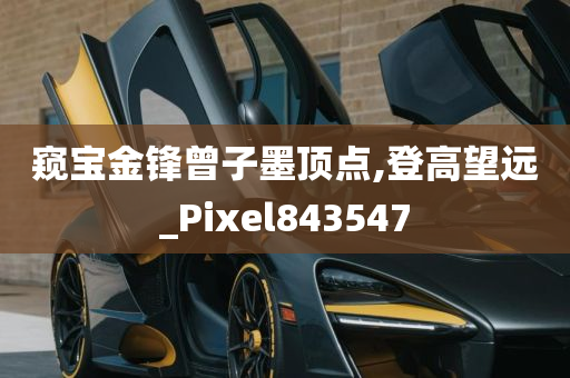 窥宝金锋曾子墨顶点,登高望远_Pixel843547