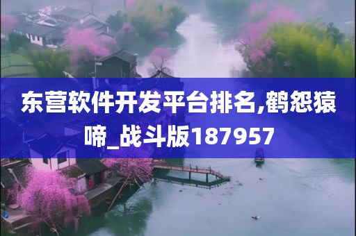 东营软件开发平台排名,鹤怨猿啼_战斗版187957