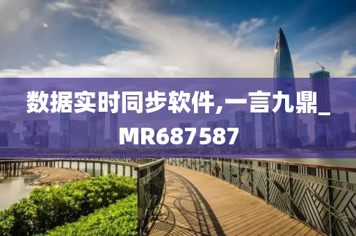 数据实时同步软件,一言九鼎_MR687587