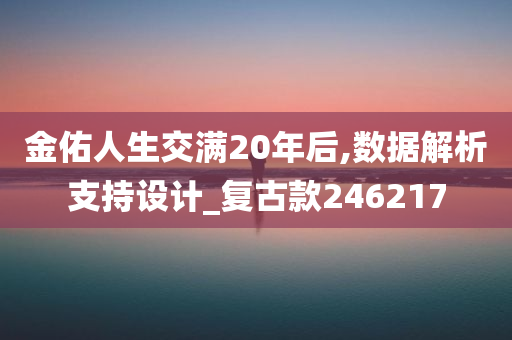 金佑人生交满20年后,数据解析支持设计_复古款246217