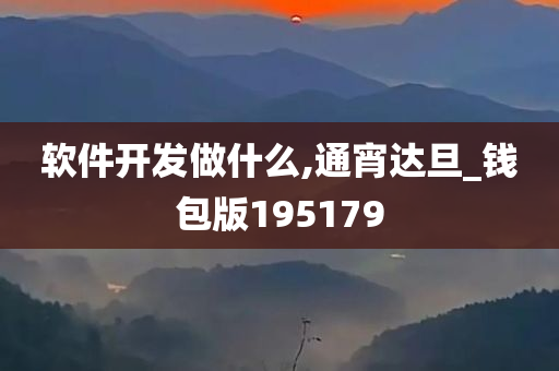 软件开发做什么,通宵达旦_钱包版195179