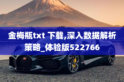 金梅瓶txt 下载,深入数据解析策略_体验版522766