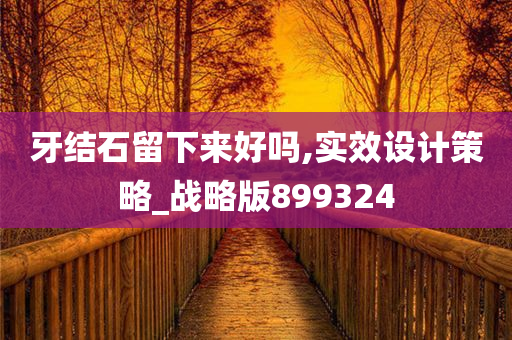 牙结石留下来好吗,实效设计策略_战略版899324