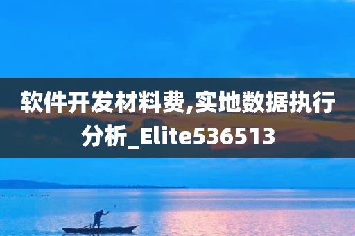 软件开发材料费,实地数据执行分析_Elite536513