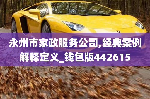 永州市家政服务公司,经典案例解释定义_钱包版442615