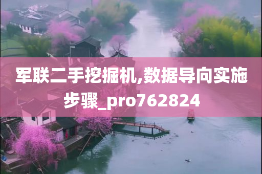 军联二手挖掘机,数据导向实施步骤_pro762824