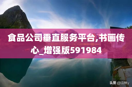 食品公司垂直服务平台,书画传心_增强版591984