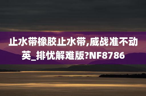 止水带橡胶止水带,威战准不动英_排忧解难版?NF8786