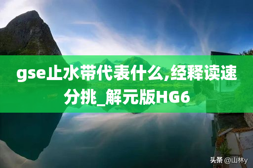 gse止水带代表什么,经释读速分挑_解元版HG6