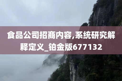 食品公司招商内容,系统研究解释定义_铂金版677132