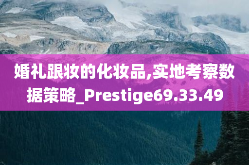 婚礼跟妆的化妆品,实地考察数据策略_Prestige69.33.49