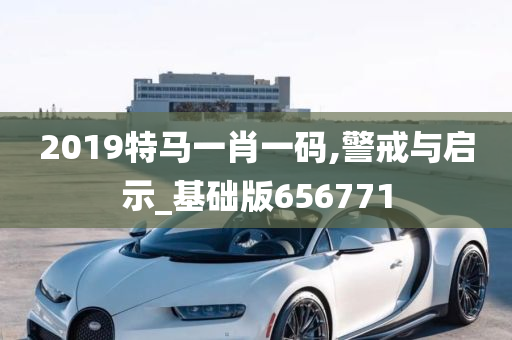 2019特马一肖一码,警戒与启示_基础版656771