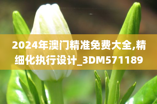 2024年澳门精准免费大全,精细化执行设计_3DM571189