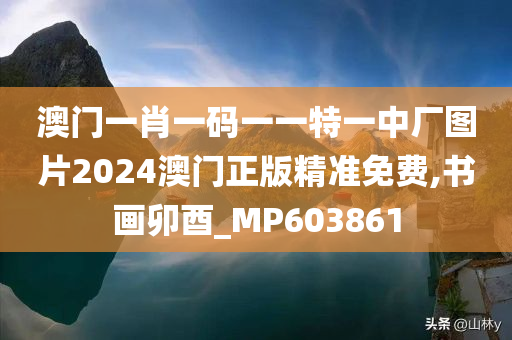 澳门一肖一码一一特一中厂图片2024澳门正版精准免费,书画卯酉_MP603861