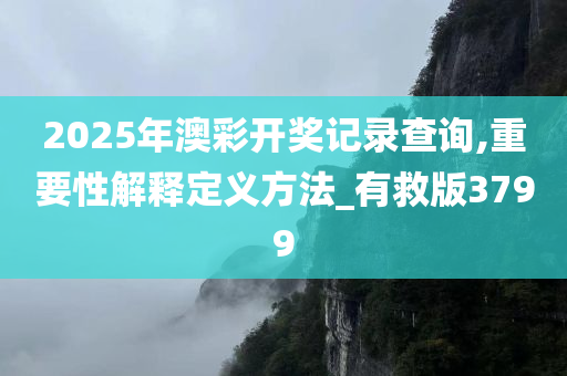 2025年澳彩开奖记录查询,重要性解释定义方法_有救版3799