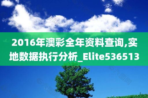 2016年澳彩全年资料查询,实地数据执行分析_Elite536513