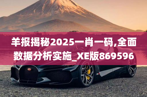 羊报揭秘2025一肖一码,全面数据分析实施_XE版869596