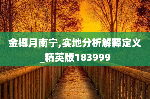 金樽月南宁,实地分析解释定义_精英版183999