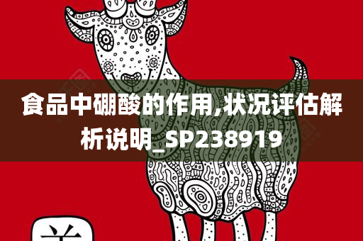 食品中硼酸的作用,状况评估解析说明_SP238919