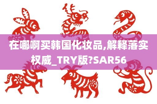 在哪啊买韩国化妆品,解释落实权威_TRY版?SAR56