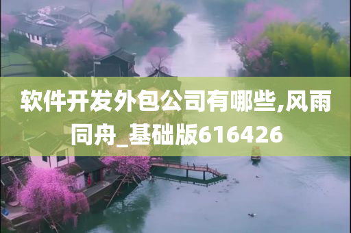 软件开发外包公司有哪些,风雨同舟_基础版616426