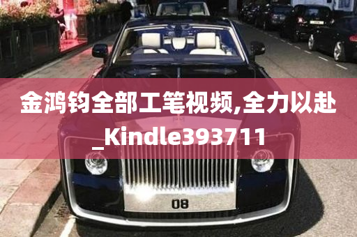 金鸿钧全部工笔视频,全力以赴_Kindle393711