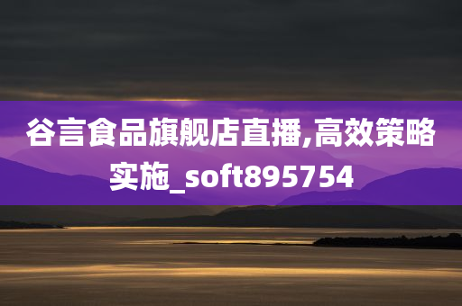 谷言食品旗舰店直播,高效策略实施_soft895754