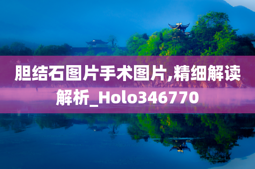 胆结石图片手术图片,精细解读解析_Holo346770