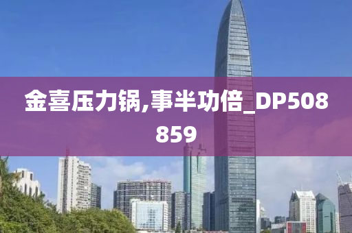 金喜压力锅,事半功倍_DP508859