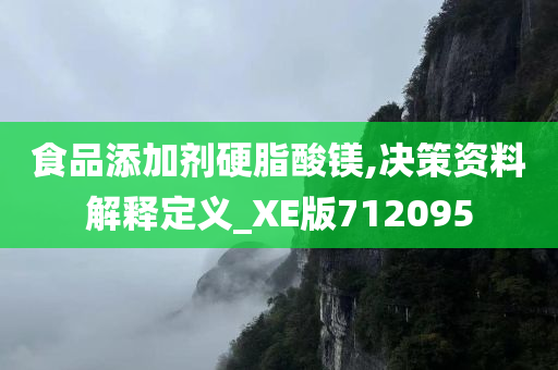 食品添加剂硬脂酸镁,决策资料解释定义_XE版712095