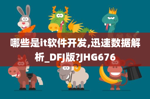 哪些是it软件开发,迅速数据解析_DFJ版?JHG676