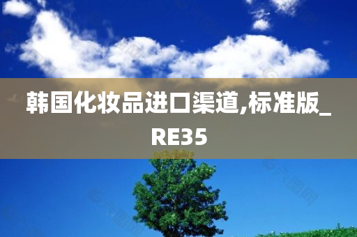 韩国化妆品进口渠道,标准版_RE35