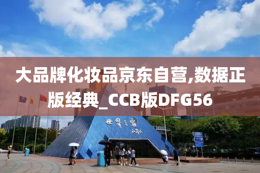 大品牌化妆品京东自营,数据正版经典_CCB版DFG56