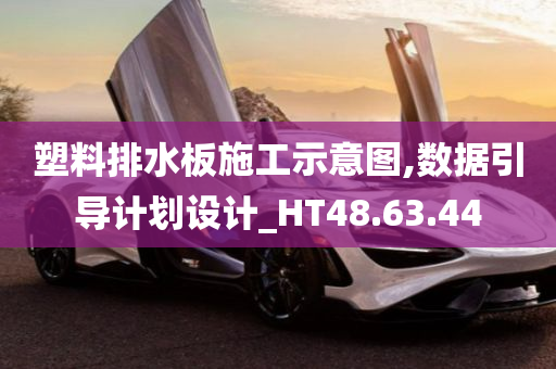 塑料排水板施工示意图,数据引导计划设计_HT48.63.44