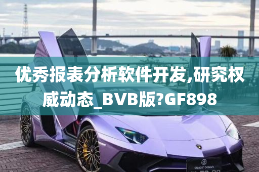 优秀报表分析软件开发,研究权威动态_BVB版?GF898